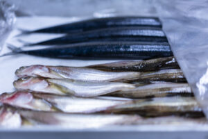 福井県敦賀市｜お食事処゛なかや”　鮮魚