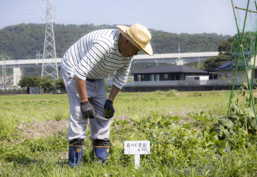 福井県敦賀市｜お食事処　なかやの畑からはじまる料理づくり